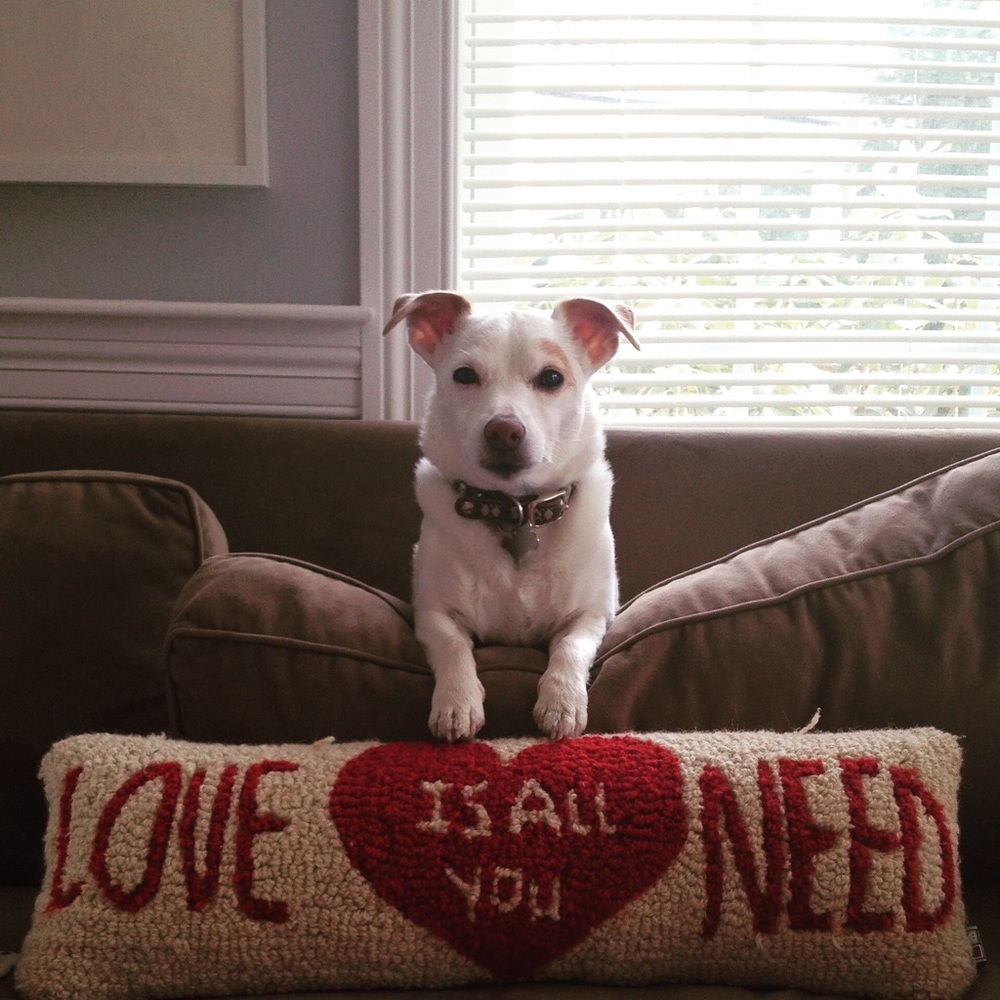 Meet your Posher, Ali